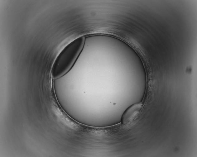 X0000115650892200911241731