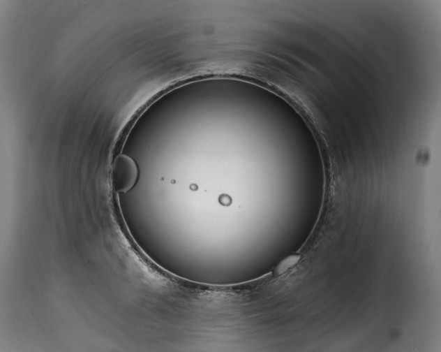 X0000115650894200911241731