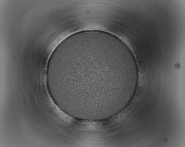 X0000115650895200911241731