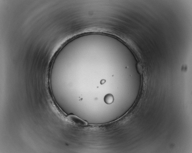 X0000115650896200911241731