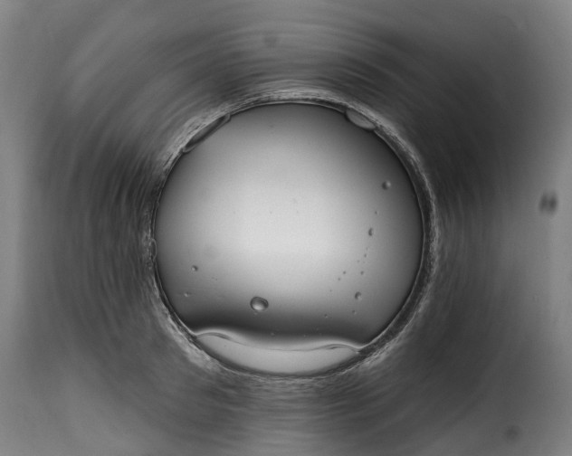 X0000115650897200911241731