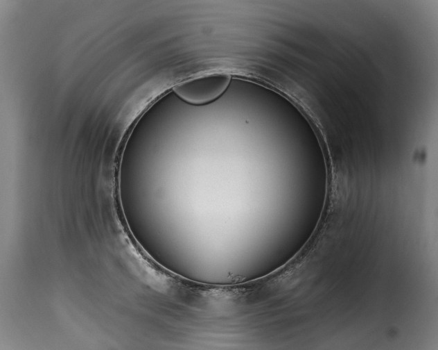 X0000115650898200911241731