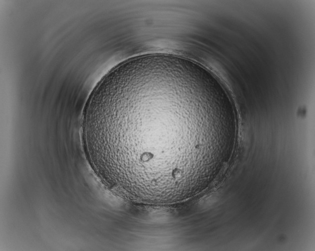 X0000115650899200911241731