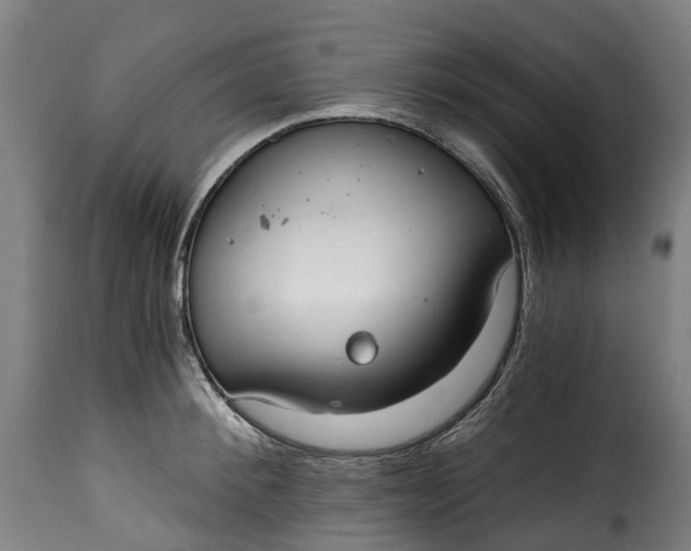 X0000115650900200911241731