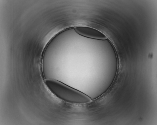 X0000115650901200911241731