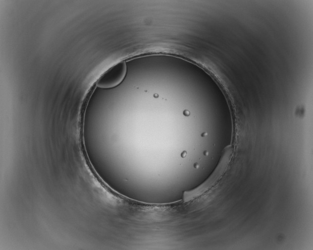 X0000115650902200911241731