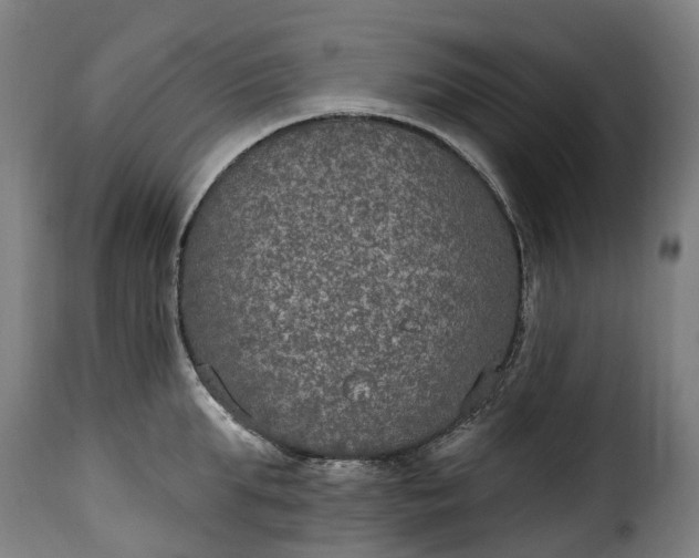 X0000115650903200911241731