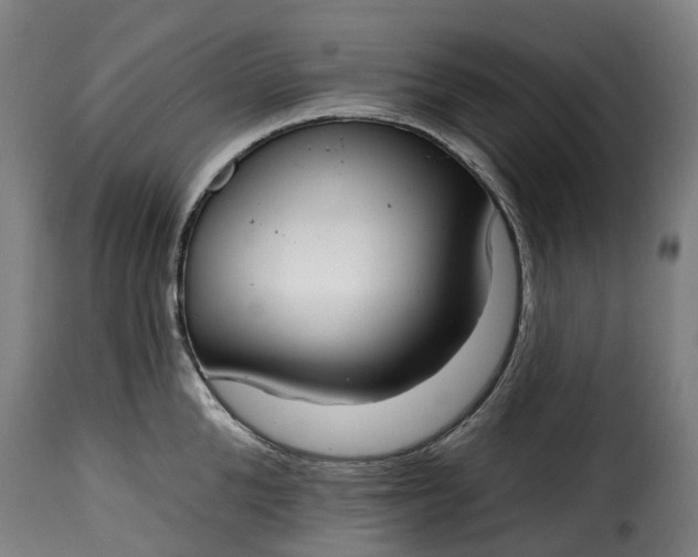 X0000115650904200911241731