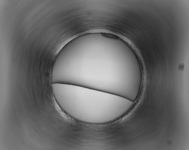 X0000115650905200911241731