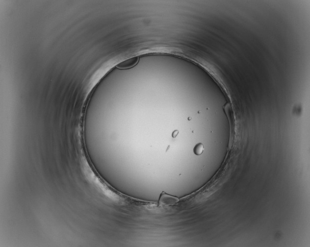 X0000115650906200911241731