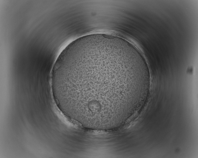 X0000115650907200911241731