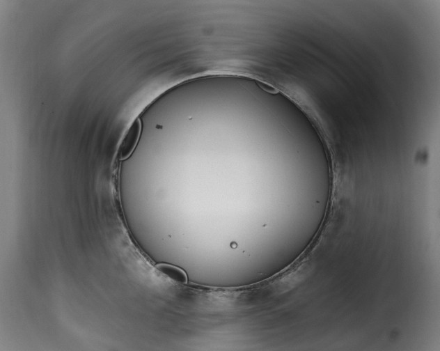 X0000115650908200911241731