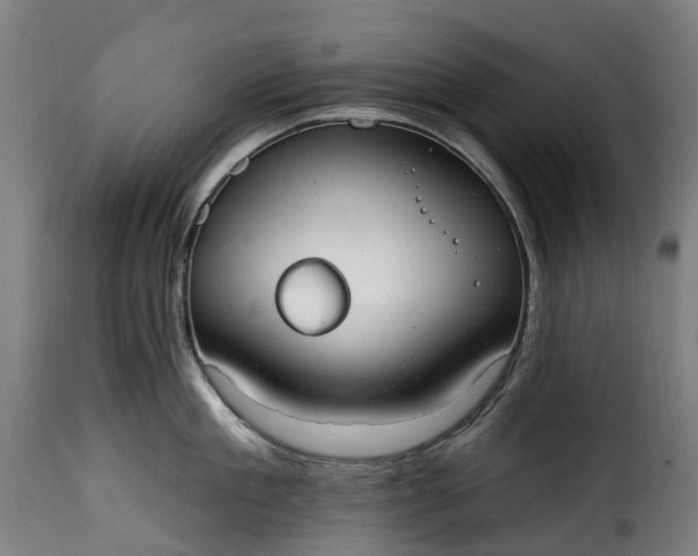 X0000115650909200911241731