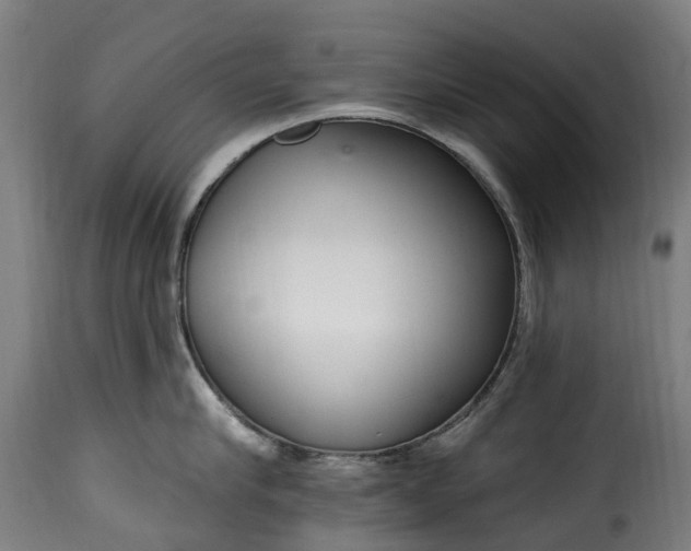 X0000115650910200911241731