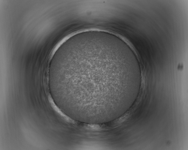 X0000115650911200911241731