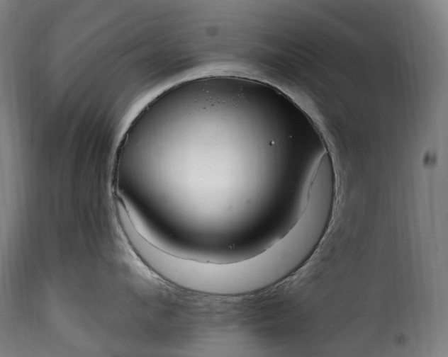 X0000115650912200911241731