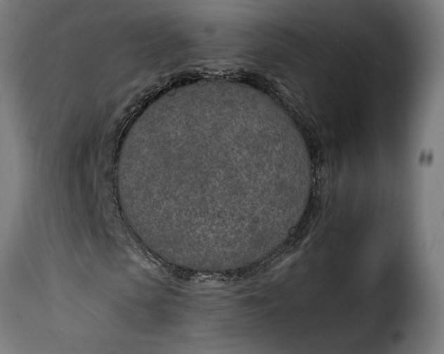 X0000115650913200911241730