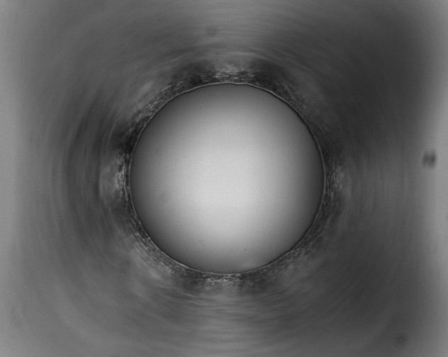 X0000115650914200911241730