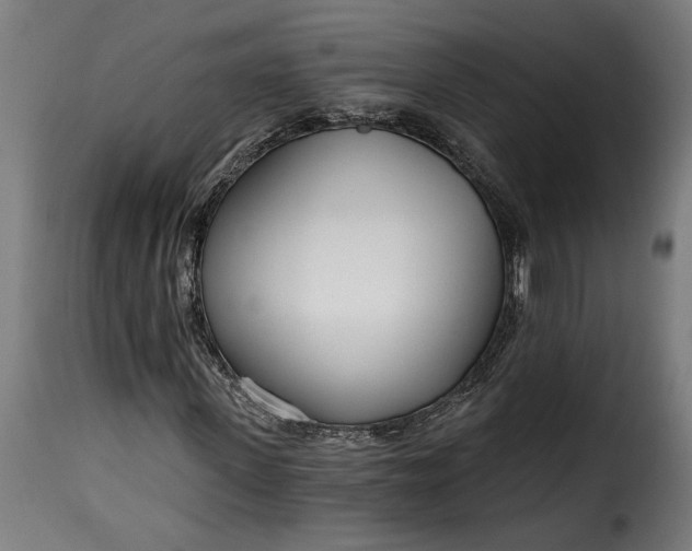 X0000115650915200911241730