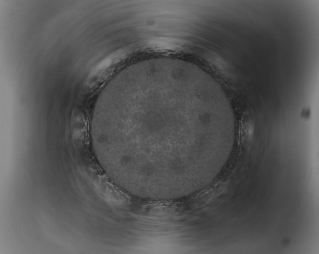 X0000115650917200911241730