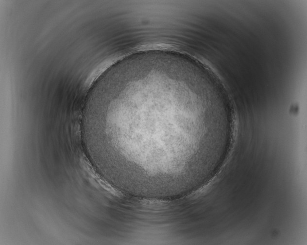 X0000115650921200911241730