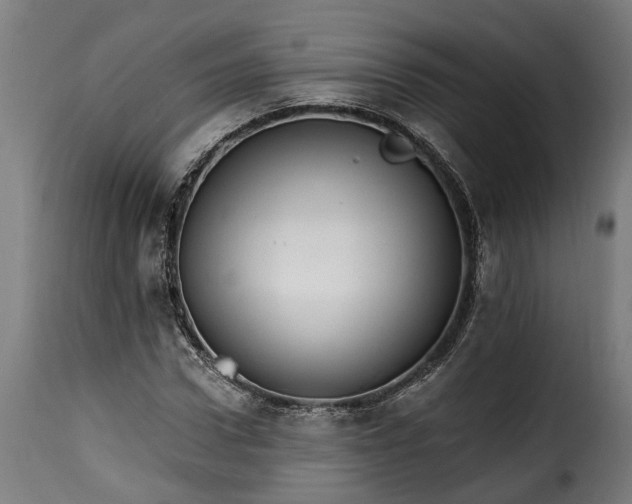 X0000115650922200911241730