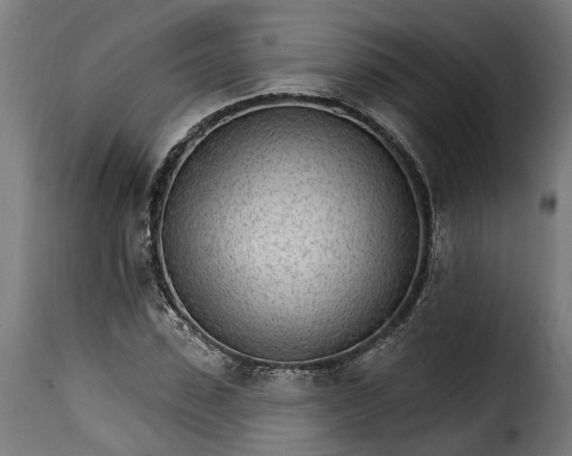 X0000115650923200911241730