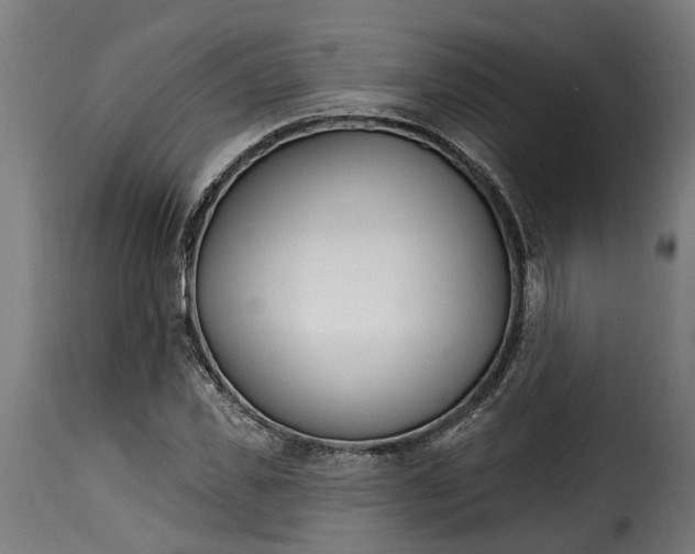 X0000115650925200911241730