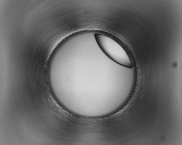 X0000115650926200911241730