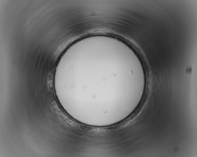 X0000115650929200911241730