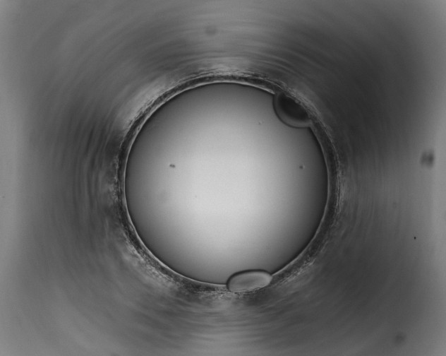 X0000115650930200911241730