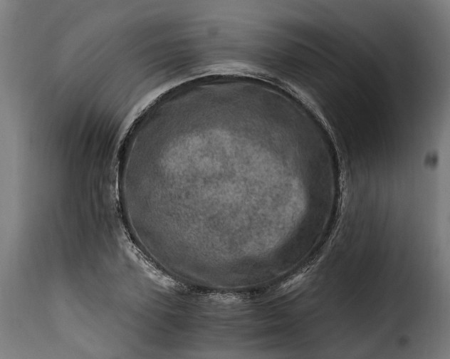 X0000115650931200911241730