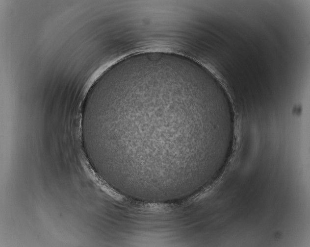 X0000115650933200911241730