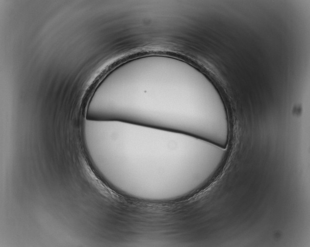 X0000115650934200911241730