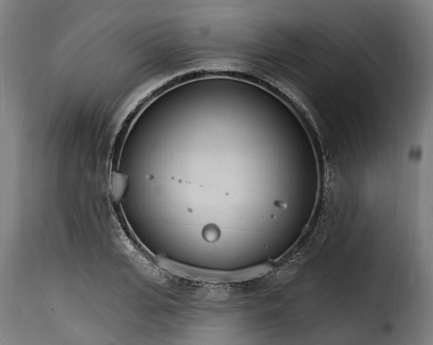 X0000115650935200911241730