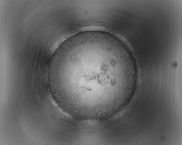 X0000115650937200911241730