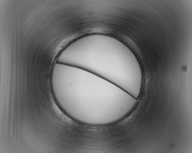 X0000115650938200911241730