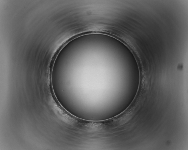 X0000115650939200911241730