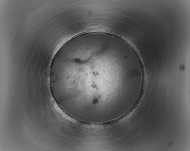 X0000115650941200911241730