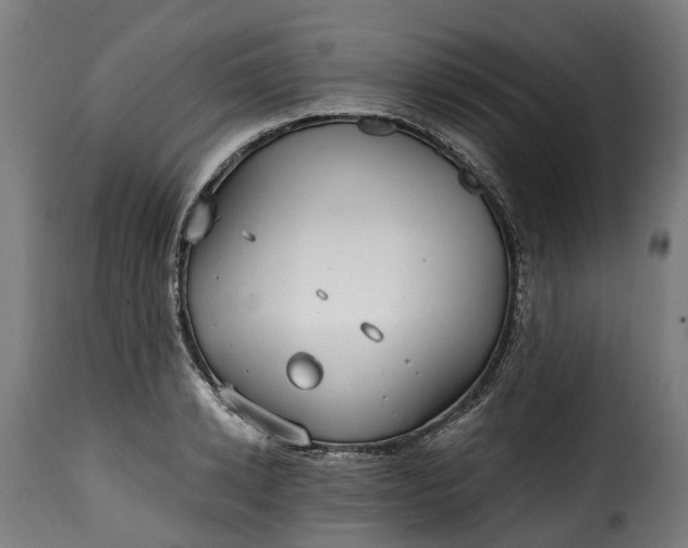 X0000115650942200911241730