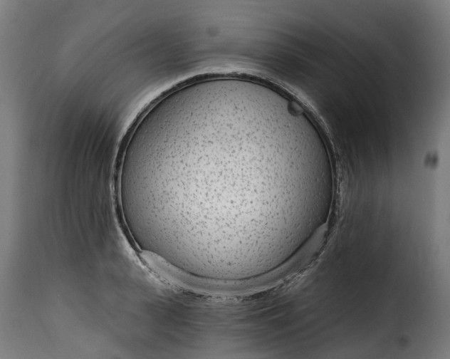 X0000115650943200911241730