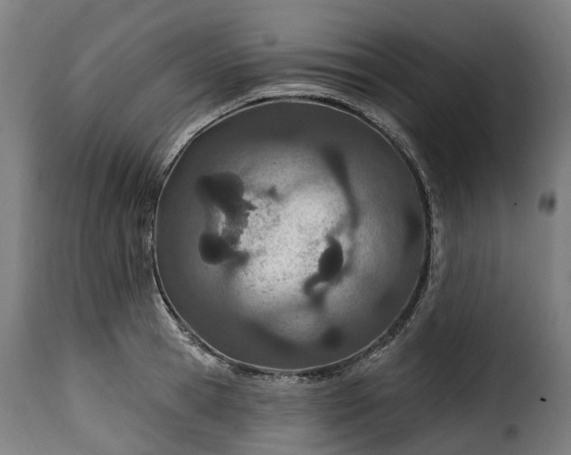 X0000115650945200911241730