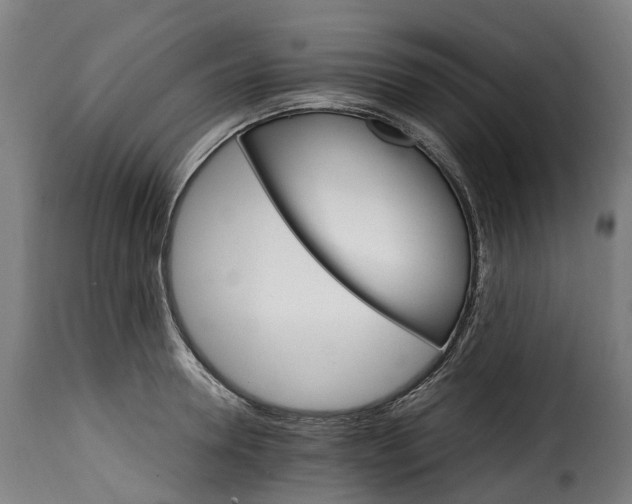 X0000115650946200911241731