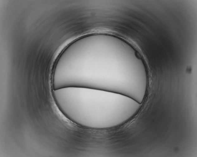 X0000115650947200911241731