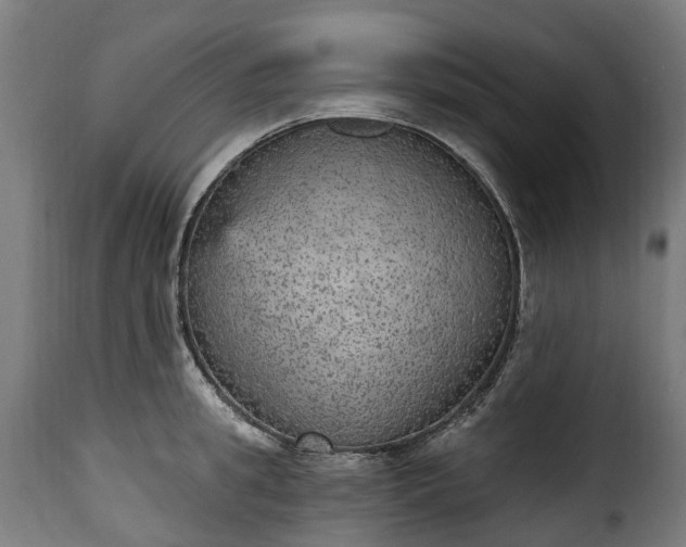 X0000115650949200911241731