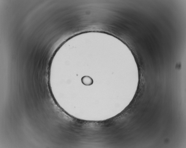 X0000115650950200911241731