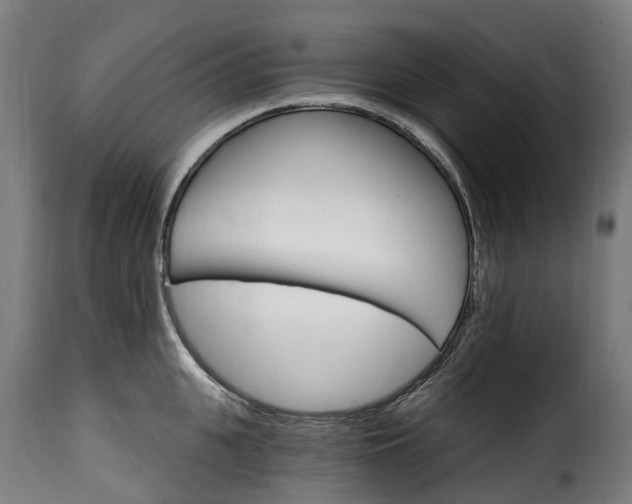 X0000115650951200911241731