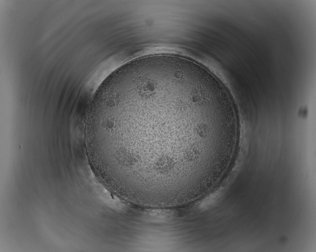 X0000115650953200911241731