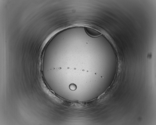 X0000115650955200911241731