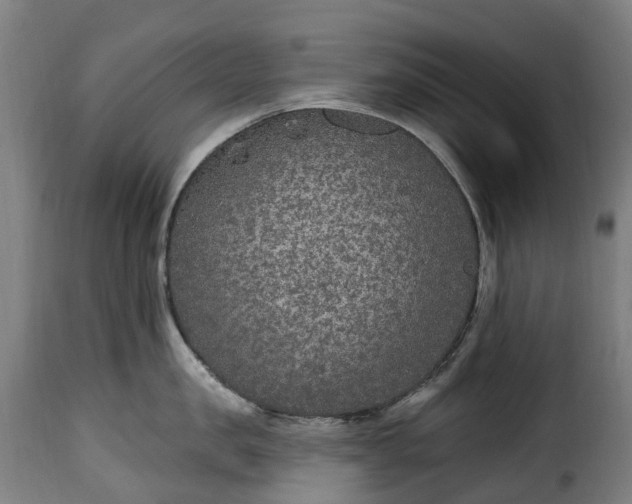 X0000115650957200911241731